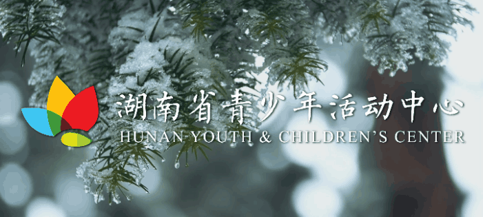 哪里有详细的篮球技能提升步骤介绍_1